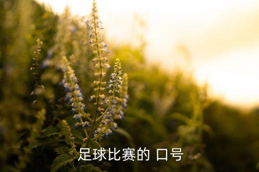  足球比賽的 口號