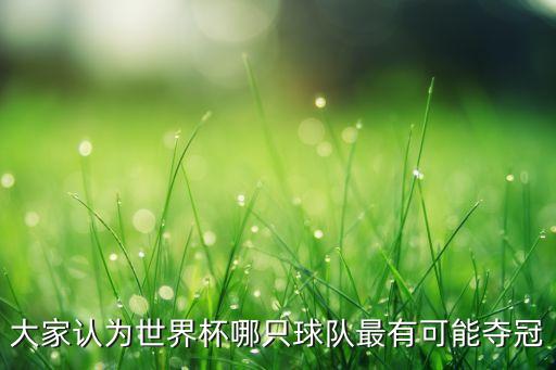 大家認(rèn)為世界杯哪只球隊(duì)最有可能奪冠