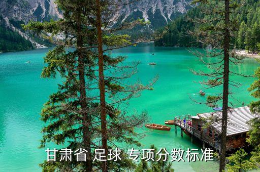 甘肅省 足球 專項分數(shù)標準