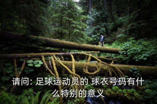 誰(shuí)穿6號(hào)球衣足球,穿10號(hào)球衣的足球運(yùn)動(dòng)員