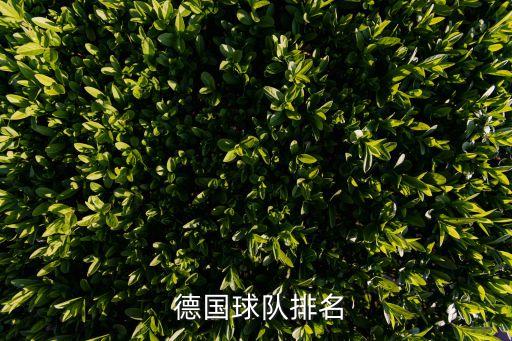  德國球隊(duì)排名