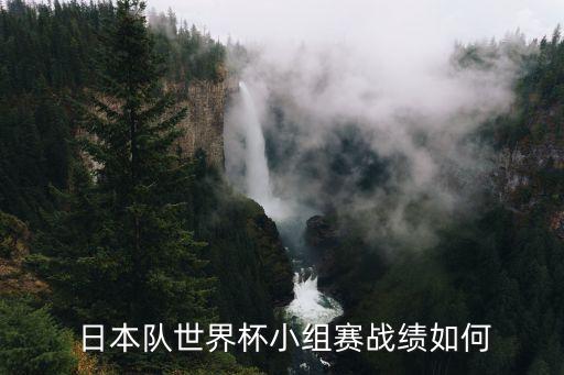  日本隊(duì)世界杯小組賽戰(zhàn)績?nèi)绾? class=