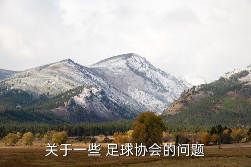 關于一些 足球協(xié)會的問題
