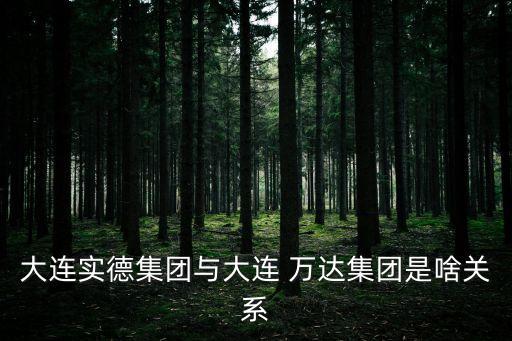 大連實(shí)德集團(tuán)與大連 萬達(dá)集團(tuán)是啥關(guān)系