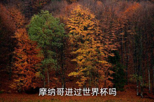  摩納哥進(jìn)過世界杯嗎