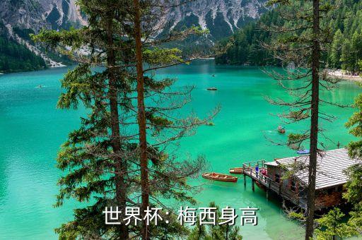 梅西足球踢最高,梅西踢了多少年的足球