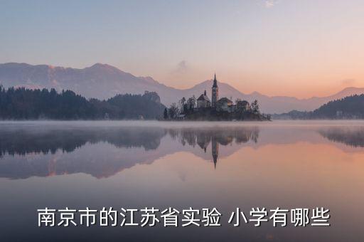  南京市的江蘇省實驗 小學(xué)有哪些