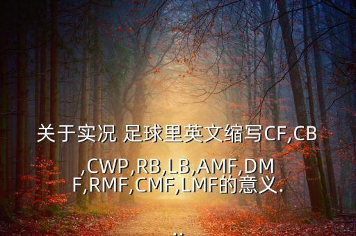 關(guān)于實(shí)況 足球里英文縮寫CF,CB,CWP,RB,LB,AMF,DMF,RMF,CMF,LMF的意義...