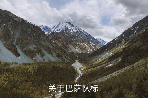 關(guān)于巴薩隊(duì)標(biāo)