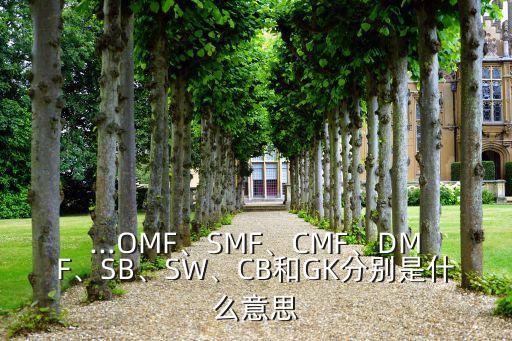 足球cb是什么意思,女的說(shuō)自己想cb是什么意思