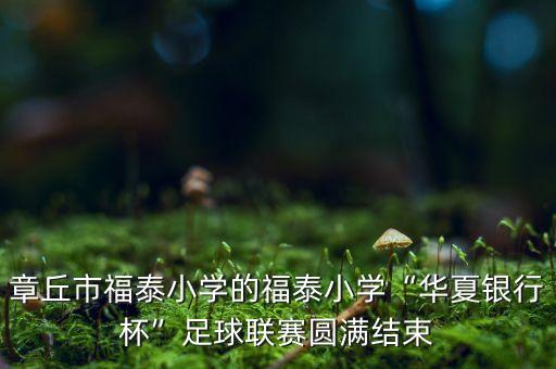 章丘市福泰小學的福泰小學“華夏銀行杯”足球聯(lián)賽圓滿結束
