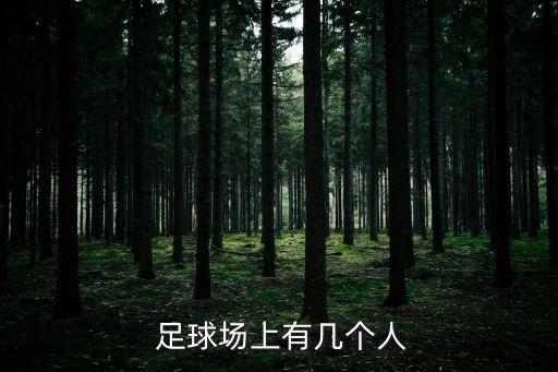  足球場(chǎng)上有幾個(gè)人