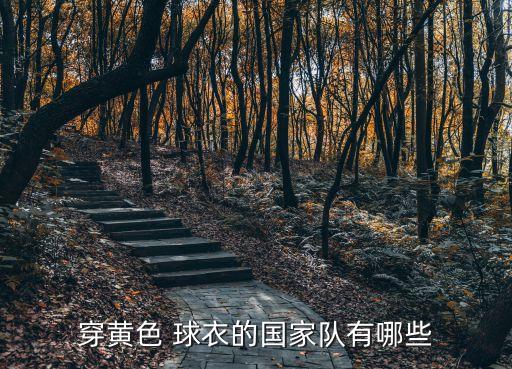 穿黃色 球衣的國(guó)家隊(duì)有哪些