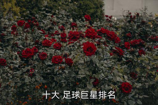 十大 足球巨星排名