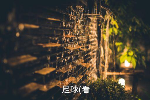 關(guān)于足球國家隊的網(wǎng)站