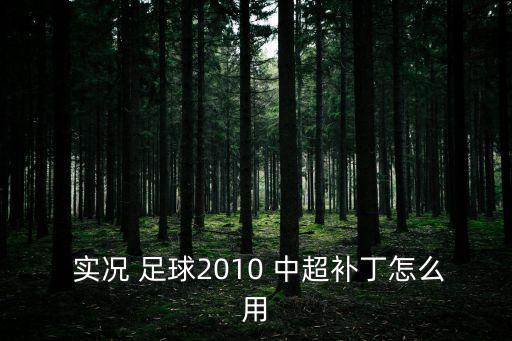  實況 足球2010 中超補丁怎么用