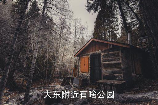 沈陽 兒童足球,沈陽兒童足球公園門票多少錢