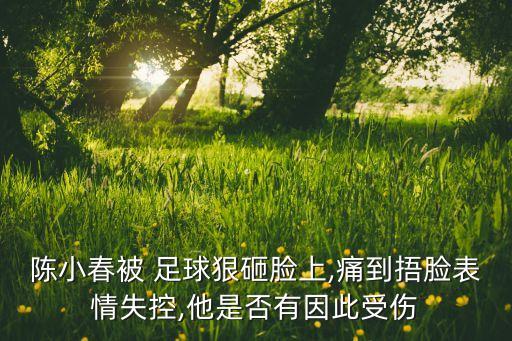 陳小春被 足球狠砸臉上,痛到捂臉表情失控,他是否有因此受傷