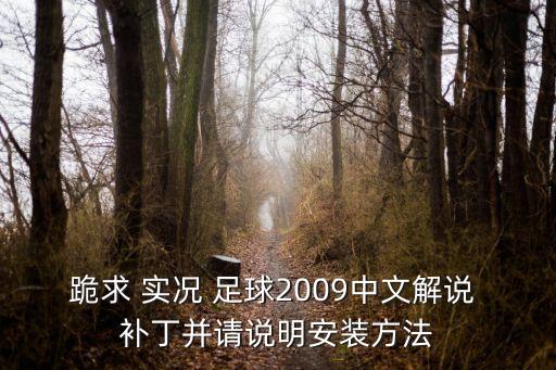 跪求 實(shí)況 足球2009中文解說 補(bǔ)丁并請(qǐng)說明安裝方法