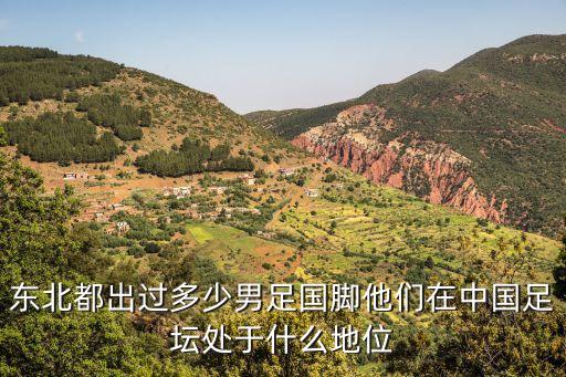 東北都出過多少男足國腳他們在中國足壇處于什么地位