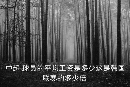 中超 球員的平均工資是多少這是韓國聯(lián)賽的多少倍