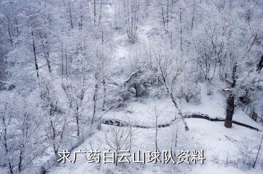 求廣藥白云山球隊資料