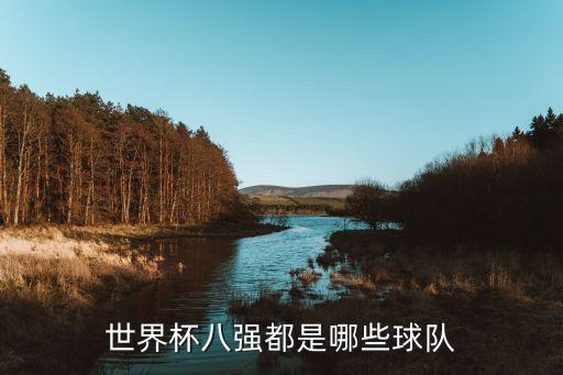 世界杯八強(qiáng)都是哪些球隊(duì)