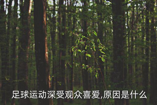 西班牙人喜歡足球,主角是西班牙人的足球小說