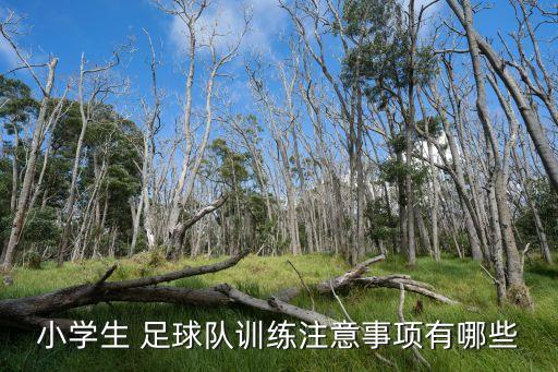小學(xué)生 足球隊(duì)訓(xùn)練注意事項(xiàng)有哪些