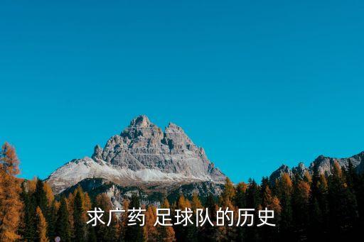廣東足球隊(duì)歷屆名單,巴西足球隊(duì)歷屆隊(duì)長(zhǎng)名單