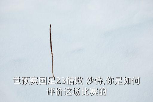世預(yù)賽國足23惜敗 沙特,你是如何評價這場比賽的