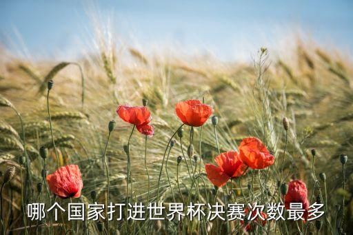 哪個國家打進世界杯決賽次數(shù)最多