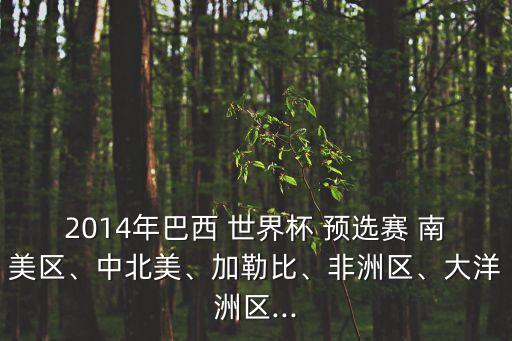 2014年巴西 世界杯 預選賽 南美區(qū)、中北美、加勒比、非洲區(qū)、大洋洲區(qū)...