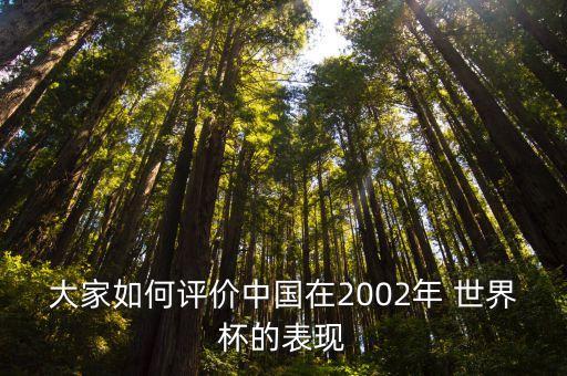 大家如何評價中國在2002年 世界杯的表現(xiàn)
