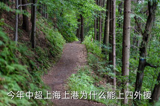 香港職業(yè)足球聯(lián)賽豪門,沙特足球聯(lián)賽豪門