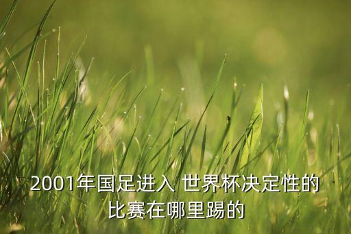 中國 世界杯足球場,世界杯足球場多大