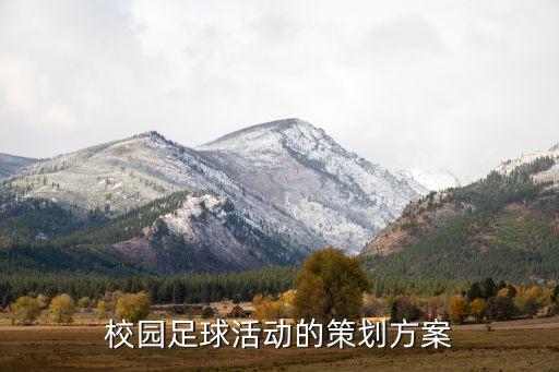 校園足球活動(dòng)的策劃方案