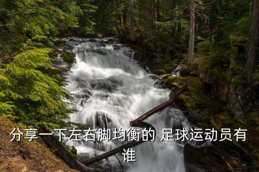 分享一下左右腳均衡的 足球運動員有誰