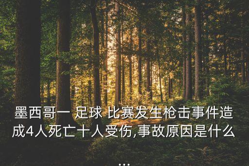 墨西哥一 足球 比賽發(fā)生槍擊事件造成4人死亡十人受傷,事故原因是什么...