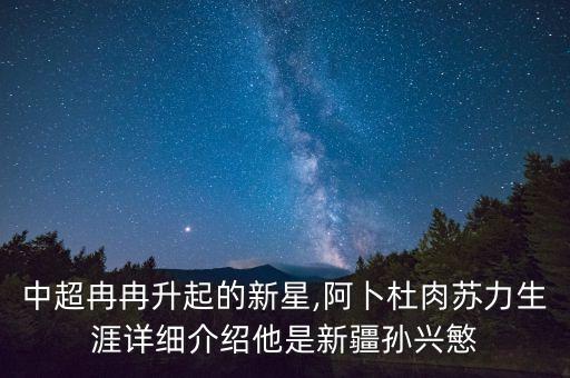 中國(guó)足球?yàn)H坊杯賽制