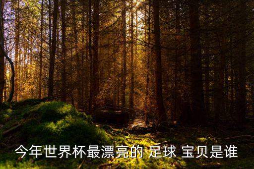 今年世界杯最漂亮的 足球 寶貝是誰(shuí)