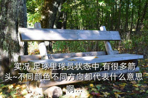  實(shí)況 足球里球員狀態(tài)中,有很多箭頭~不同顏色不同方向都代表什么意思啊...