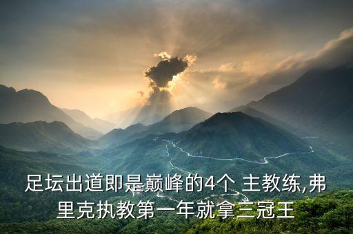 臺(tái)灣足球主教練,德國(guó)歷任足球主教練
