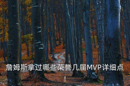 足球界詹皇,足球運(yùn)動(dòng)員詹
