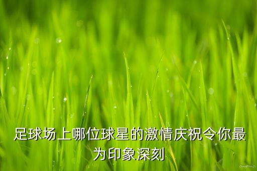 足球運(yùn)動(dòng)員進(jìn)球動(dòng)作,為國家隊(duì)進(jìn)球最多的足球運(yùn)動(dòng)員