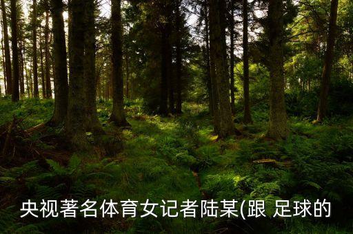 cctv5足球世界女主持