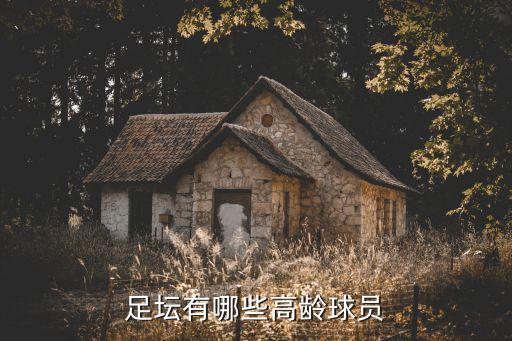 足壇有哪些高齡球員