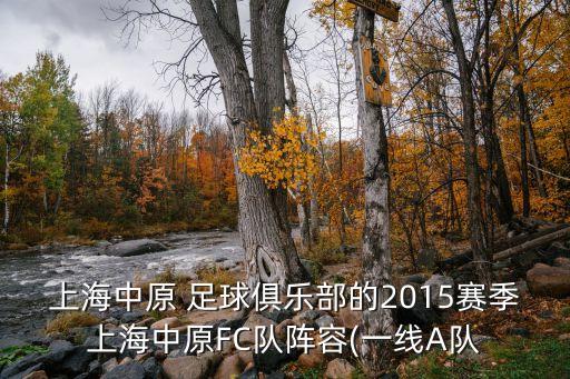 上海中原 足球俱樂部的2015賽季上海中原FC隊(duì)陣容(一線A隊(duì)