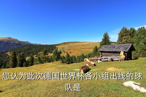 您認(rèn)為此次德國(guó)世界杯各小組出線的球隊(duì)是
