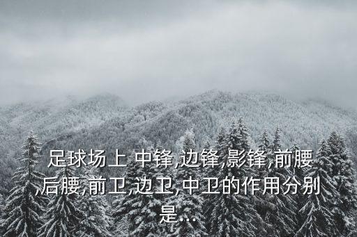  足球場(chǎng)上 中鋒,邊鋒,影鋒,前腰,后腰,前衛(wèi),邊衛(wèi),中衛(wèi)的作用分別是...